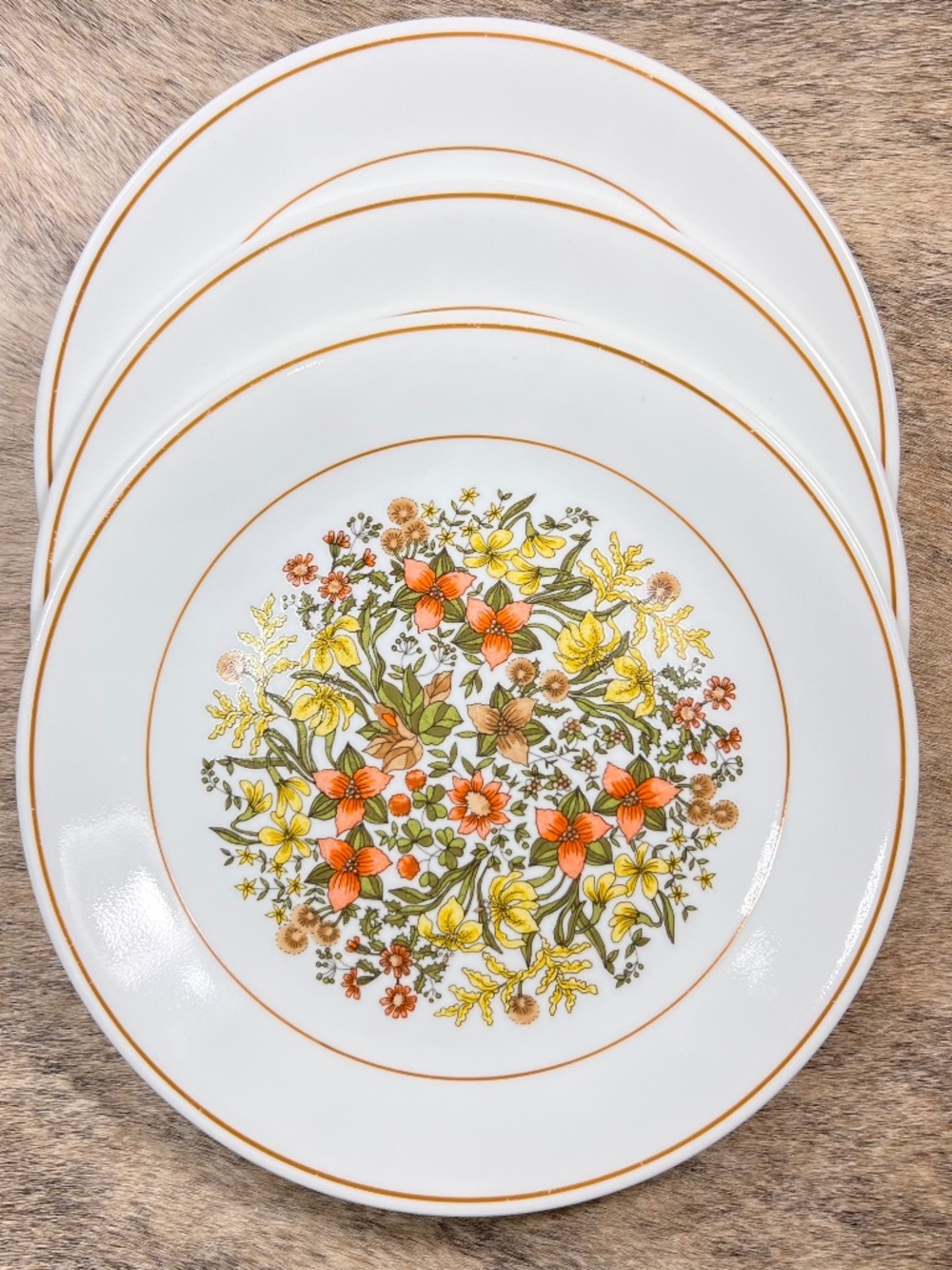 Corelle Indian Summer Dinner Plates